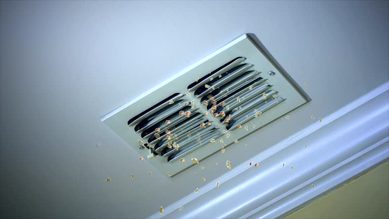 Best Air Duct Cleaning Company Near Me  in Okawvle, IL